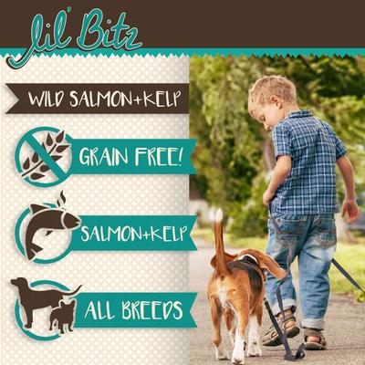 Show full view: Lil' Bitz Wild Salmon & Kelp Training Dog Treats, 4-oz bag slide 4 of 10