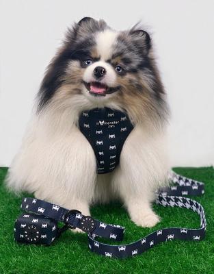 Show full view: Lil Monster Pets Comfort Dog Leash, Batman slide 4 of 4