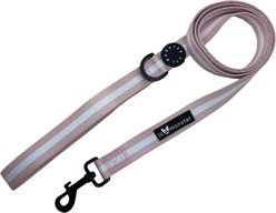 Lil Monster Pets Comfort Dog Leash, Blush Stripe