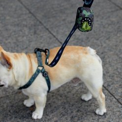 Lil Monster Pets Comfort Dog Leash, Camo  slide 2 of 3