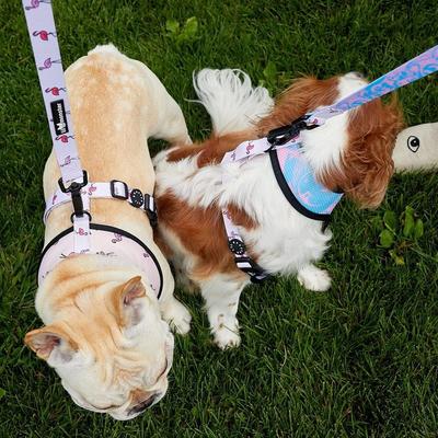 Show full view: Lil Monster Pets Comfort Dog Leash, Flamingo slide 3 of 4