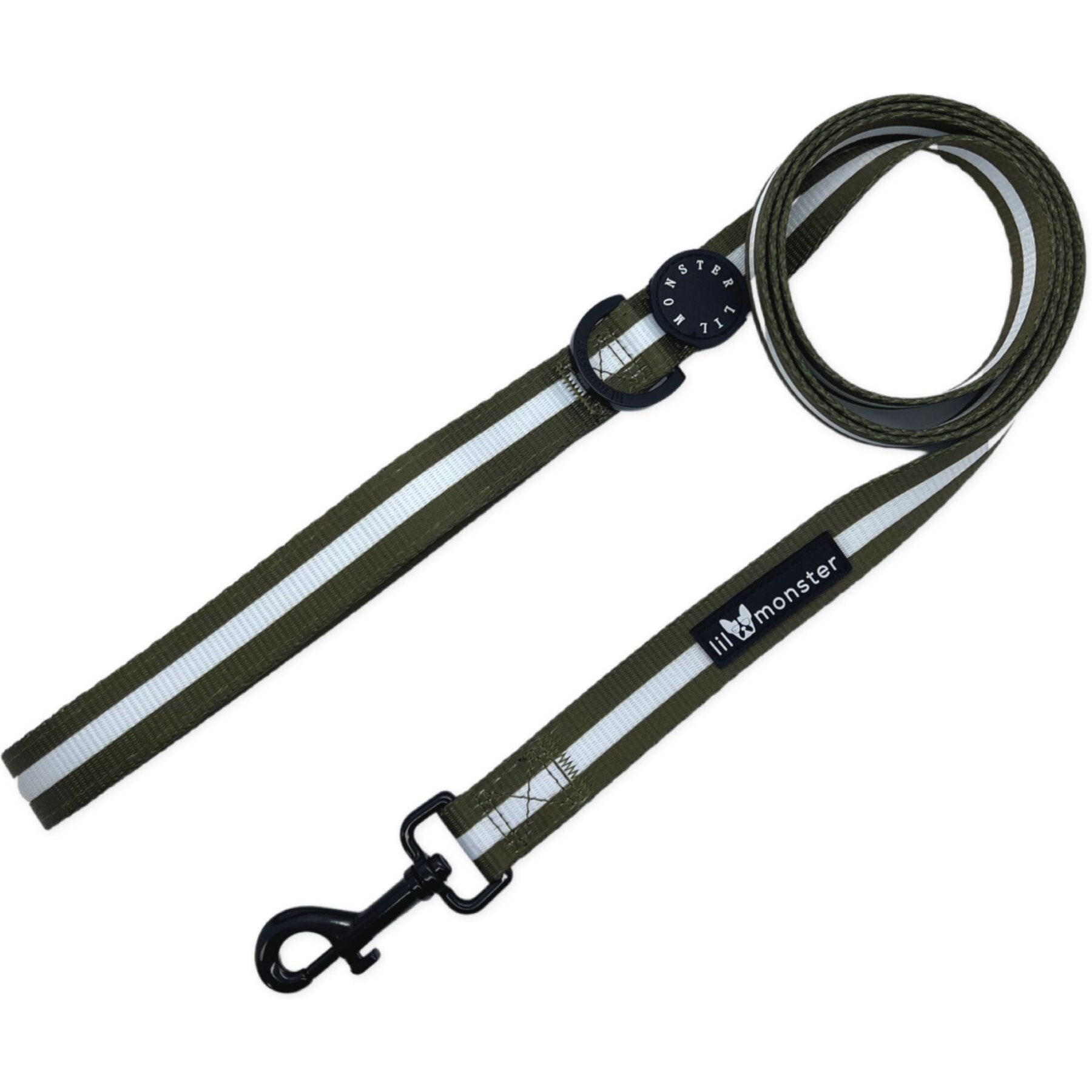 Lil Monster Pets Comfort Dog Leash, Green Stripe