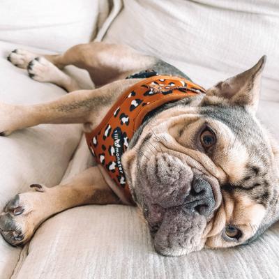 Show full view: Lil Monster Pets Neoprene Adjustable Dog Harness, Burnt Orange Leopard, Large slide 4 of 5