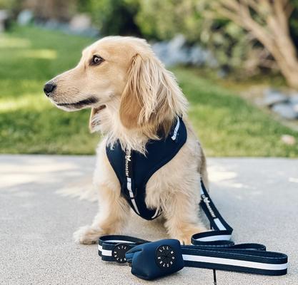 Show full view: Lil Monster Pets Neoprene Adjustable Dog Harness, Navy Stripe, X-Large slide 4 of 5