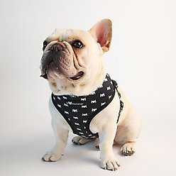 Lil Monster Pets Neoprene Reversible Dog Harness, Batman, Large slide 2 of 4