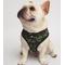 Show in main carousel: Lil Monster Pets Neoprene Reversible Dog Harness, Camo, Medium slide 2 of 5