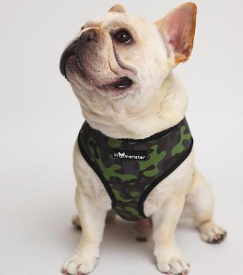 Show full view: Lil Monster Pets Neoprene Reversible Dog Harness, Camo, Medium slide 2 of 5