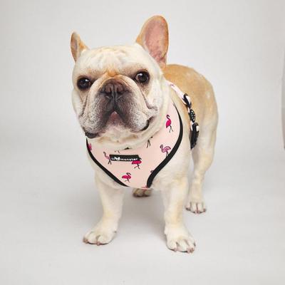 Show full view: Lil Monster Pets Neoprene Reversible Dog Harness, Flamingo, X-Small slide 2 of 5