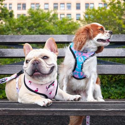 Show full view: Lil Monster Pets Neoprene Reversible Dog Harness, Flamingo, X-Small slide 4 of 5