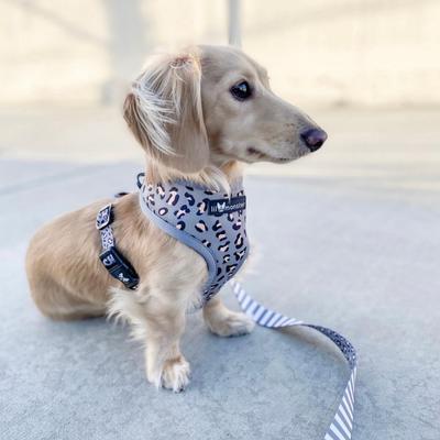 Show full view: Lil Monster Pets Neoprene Reversible Dog Harness, Gray Leopard, Large slide 3 of 5