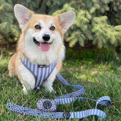 Show full view: Lil Monster Pets Neoprene Reversible Dog Harness, Gray Leopard, Large slide 4 of 5