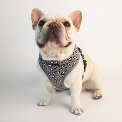 Lil Monster Pets Neoprene Reversible Dog Harness, Gray Leopard, X-Small slide 2 of 3