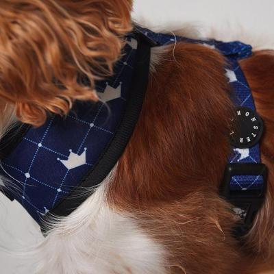 Show full view: Lil Monster Pets Neoprene Reversible Dog Harness, Regal, Small slide 2 of 4