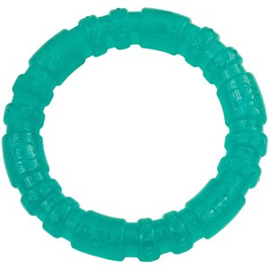 Li'l Pals Antimicrobial Ring Squeaky Dog Toy, Teal
