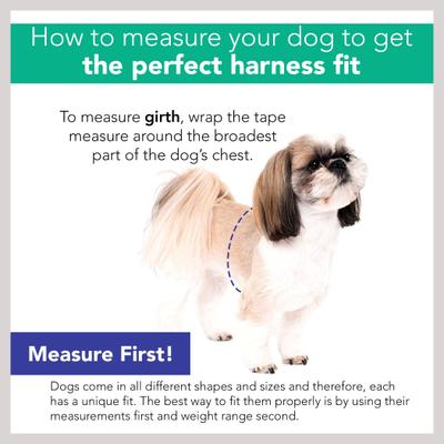 Show full view: Li'l Pals Canvas Step In Back Clip Dog Harness, Teal/Yellow/Grey Stained Glass, 10 to 12-in chest slide 6 of 8