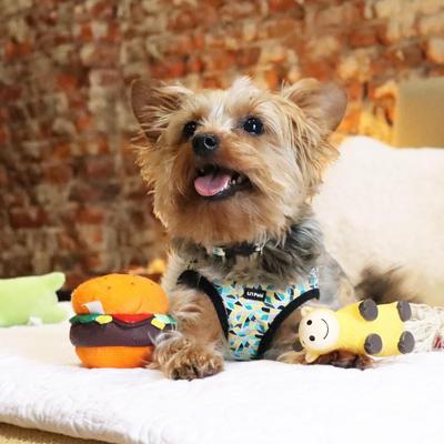 Show full view: Li'l Pals Canvas Step In Back Clip Dog Harness, Teal/Yellow/Grey Stained Glass, 8 to 10-in chest slide 3 of 8