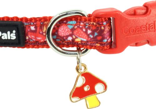 Show full view: Li'l Pals Charming Ribbon Overlay Nylon Standard Dog Collar, Li'l Mushrooms, Petite X-Small: 6 to 8-in neck, 3/8-in wide slide 7 of 7