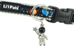 Li'l Pals Charming Ribbon Overlay Nylon Standard Dog Collar, Li'l Space Explorers, Petite X-Small: 6 to 8-in neck, 3/8-in wide slide 2 of 2