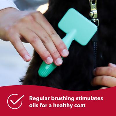 Show full view: Li'l Pals Coated Tips Dog Slicker Brush slide 6 of 8