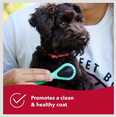 Show full view: Li'l Pals Dog Combo Brush slide 4 of 6