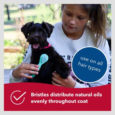 Show full view: Li'l Pals Dog Combo Brush slide 5 of 6