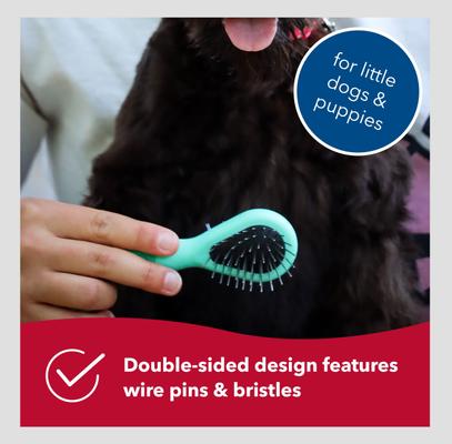 Show full view: Li'l Pals Dog Combo Brush slide 6 of 6