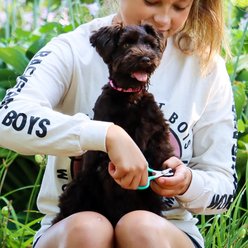 Li'l Pals Dog Nail Trimmer slide 2 of 2