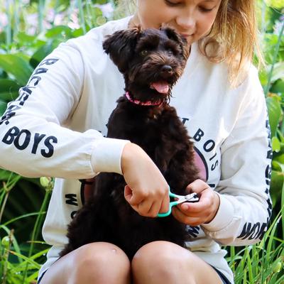 Show full view: Li'l Pals Dog Nail Trimmer slide 2 of 4