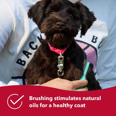 Show full view: Li'l Pals Double-Sided Dog Comb, Color Varies slide 7 of 9