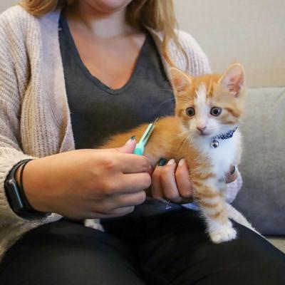 Show full view: Li'l Pals Double-Sided Kitten Comb slide 2 of 5