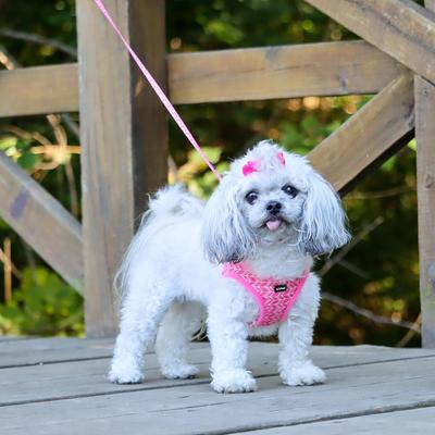 Show full view: Li'l Pals E-Z Snap Patterned Dog Leash, Pink Tribal Chevron, 6-ft long, 5/8-in wide slide 4 of 5