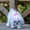Show in main carousel: Li'l Pals E-Z Snap Patterned Dog Leash, Pink Tribal Chevron, 6-ft long, 5/8-in wide slide 5 of 5