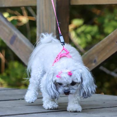 Show full view: Li'l Pals E-Z Snap Patterned Dog Leash, Pink Tribal Chevron, 6-ft long, 5/8-in wide slide 5 of 5
