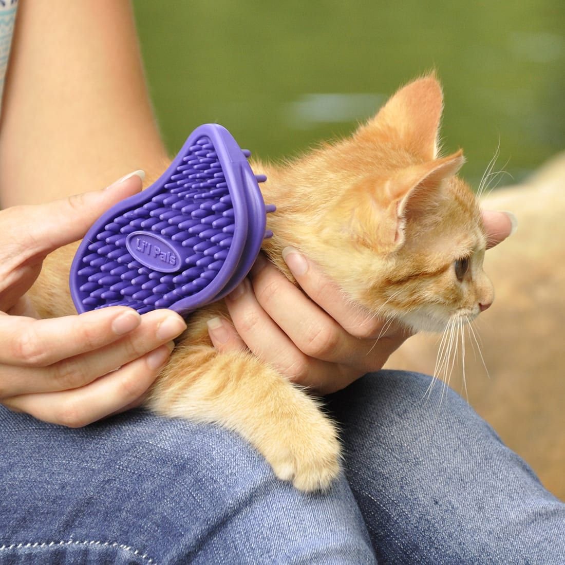 Li'l Pals Dog Soft Tip Massager
