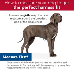 Li'l Pals Microfiber Step In Back Clip Dog Harness, Blue, 8 to 10-in chest slide 2 of 3