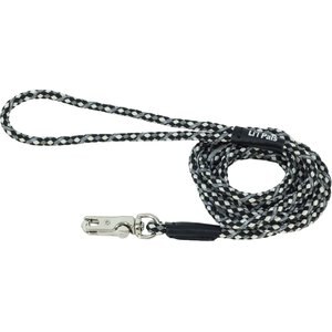 Tella & Stella Seagull Print Dog Leash - 5 Ft Nylon Leash With Neoprene Lining For Small Dogs