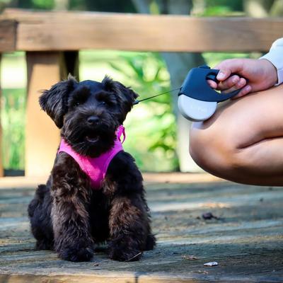 Show full view: Li'l Pals Retractable Leash with Alligator Snap, Grey slide 4 of 6