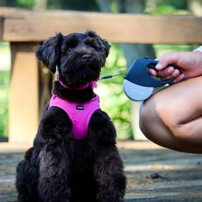 Show full view: Li'l Pals Retractable Leash with Alligator Snap, Grey slide 5 of 6