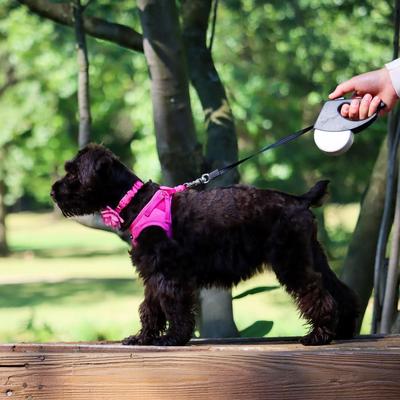 Show full view: Li'l Pals Retractable Leash with Alligator Snap, Red slide 6 of 6