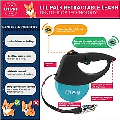 Li'l Pals Retractable Leash with Alligator Snap, Teal slide 2 of 6