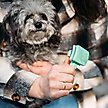 Show in main carousel: Li'l Pals Self-Cleaning Dog Slicker Brush slide 3 of 7