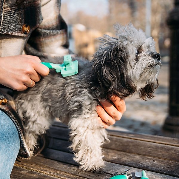 Show full view: Li'l Pals Self-Cleaning Dog Slicker Brush slide 6 of 7