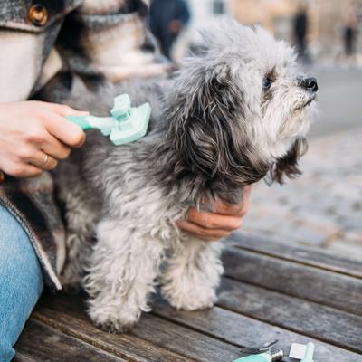 Show full view: Li'l Pals Self-Cleaning Dog Slicker Brush slide 7 of 7