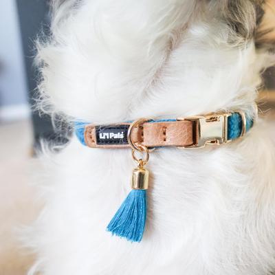 Show full view: Li'l Pals Woven Nylon Standard Dog Collar with Tassel, Blue, Petite Small: 8 to 12-in neck, 3/8-in wide slide 2 of 7