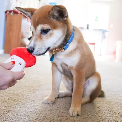 Show full view: Li'l Pals Woven Nylon Standard Dog Collar with Tassel, Blue, Petite Small: 8 to 12-in neck, 3/8-in wide slide 3 of 7