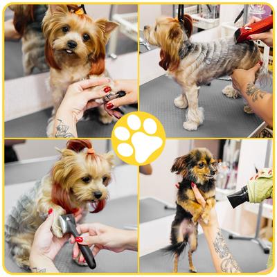 Show full view: Lil' Paw Stainless Steel Dog Grooming Table with Adjustable Arm & Clamp, Black, 46-in slide 8 of 8