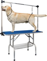 Lil' Paw Stainless Steel Dog Grooming Table with Adjustable Arm & Clamp, Blue, 46-in