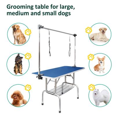 Show full view: Lil' Paw Stainless Steel Dog Grooming Table with Adjustable Arm & Clamp, Blue, 46-in slide 5 of 9