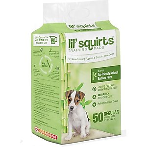 Lil' Squirts Bamboo Training Pads, Regular, 50 count