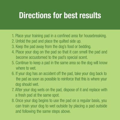 Show full view: Lil' Squirts Bamboo Training Pads, Regular, 50 count slide 9 of 10